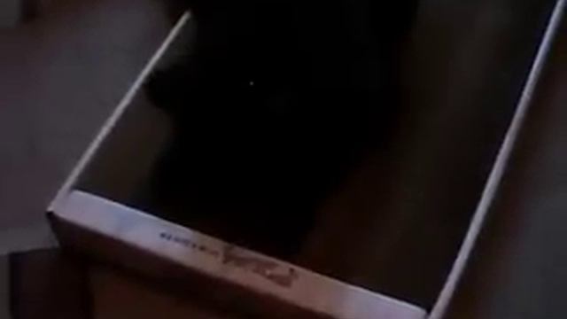 Когтеточка "Когтедралка Домашняя" смотреть онлайн