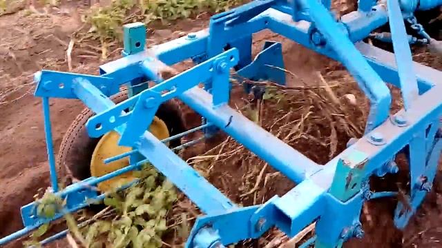 мтз-13 копаем картофель картофелекопалкой 2017. смотреть онлайн