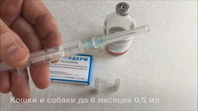 Чем лечить лишай у кошек (собак) в домашних условиях смотреть онлайн