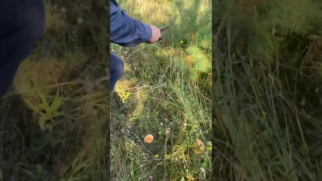 Финка «Охота» смотреть онлайн