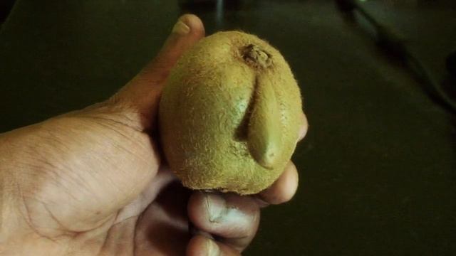 Kiwi Win !!? смотреть онлайн