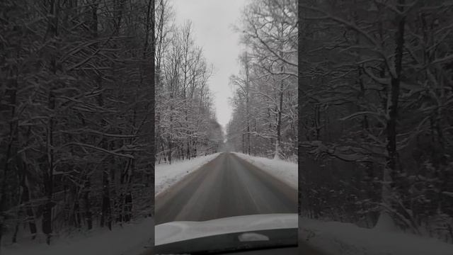 Новый год в полном разгаре