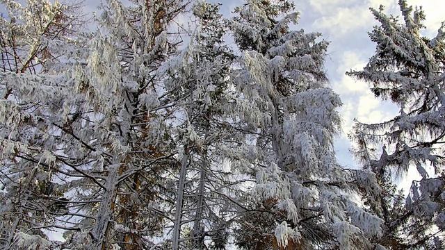 Евангелие дня. Чтимые святые дня. Суббота по Рождестве Христовом. (09.01.2021) смотреть онлайн