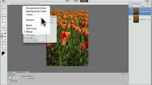 How To Soften Edges Of A Photo In Photoshop Elements смотреть онлайн