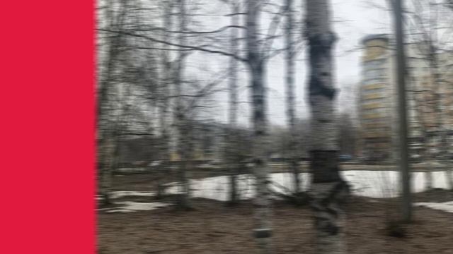 #КартинаДня смотреть онлайн