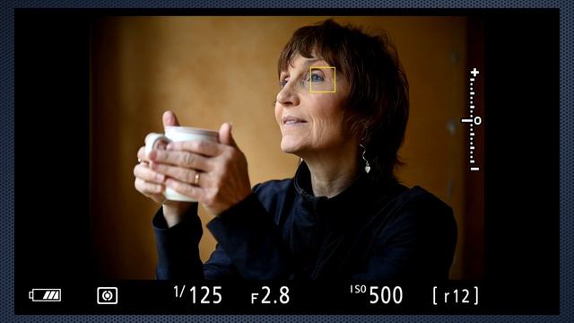 Nikon Z series - Best Focus Settings - no ads, no interruptions смотреть онлайн