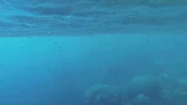 Australia 2013 Dive / Scuba video - Go Pro смотреть онлайн