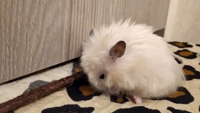 Я ВЕРНУЛАСЬ! МИНУСЫ КРЫМА смотреть онлайн