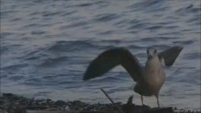 Отдых в Бетте 2019