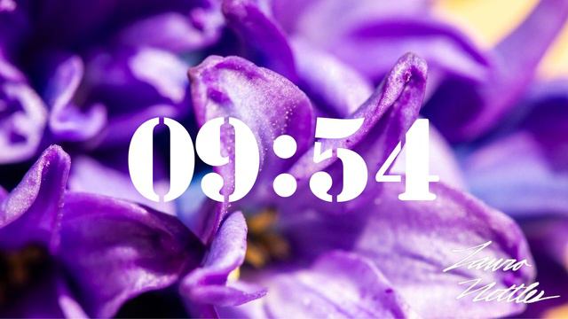 20 Minute Purple Hyacinthus Flower Timer смотреть онлайн