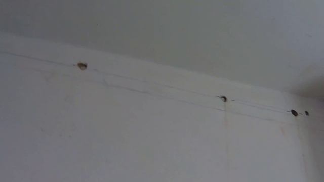 Строительные Прогнозы