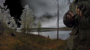 как отпугнуть медведя