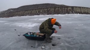 Глухозимье на Дону ?! С Одной Лунки Поймал Кучу Рыбы Зимняя Рыбалка на Дону Ловля Мирной Рыбы