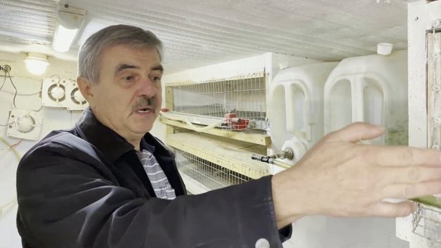 Ошибки при строительстве курятника/Лайфхак для перепелок/Лайфхак систем поения/Как я запорол кур. смотреть онлайн