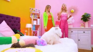 Богатая Собака vs Бедный Кот! Дорогой vs Дешевый Секретный Домик для Питомцев