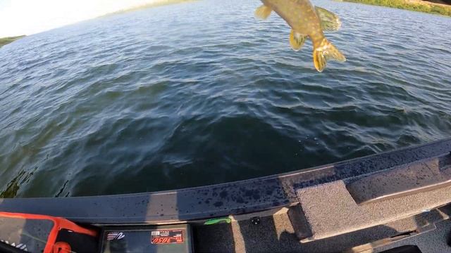 Ловля щуки! Рыболовная база "Рыбацкий хуторок"! Лодка - PowerBoat 470 L! смотреть онлайн
