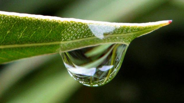 Alexander Grin Someday/ Александр Грин Когда-нибудь смотреть онлайн