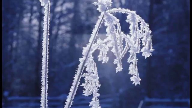 Антонио Вивальди - Зима 💖 смотреть онлайн