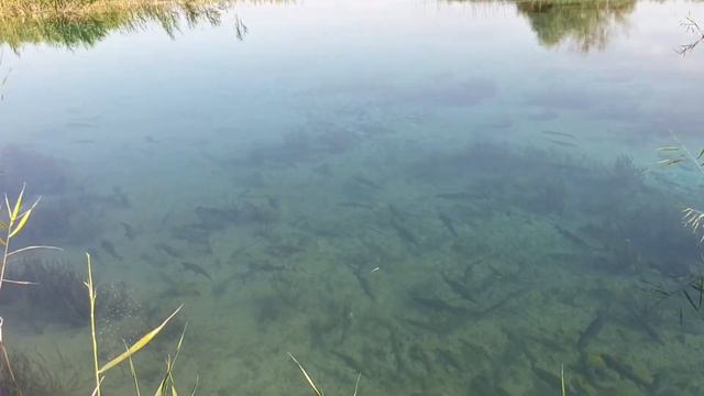 ТУРКЕСТАН ❤ 17 СВЯТЫХ МЕСТ ЧАСТЬ 5 смотреть онлайн