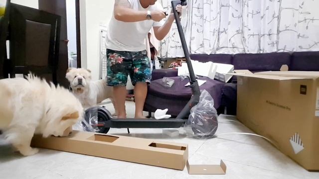 Unboxing xiaomi m365 pro uae #41 смотреть онлайн