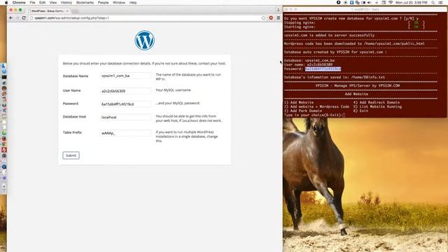 Part 2 - How to install wordpress code for website in VPS using VPSSIM смотреть онлайн