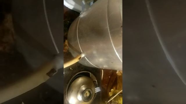 Вывез городских пчёл на дачу.Топлю воск соковаркой. Ленинградская область город Кириши. смотреть онлайн