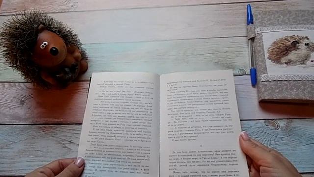 №13. Вышиваем под чтение. Б.Заходер "Отшельник и роза", А.Гайдар "Горячий камень" смотреть онлайн