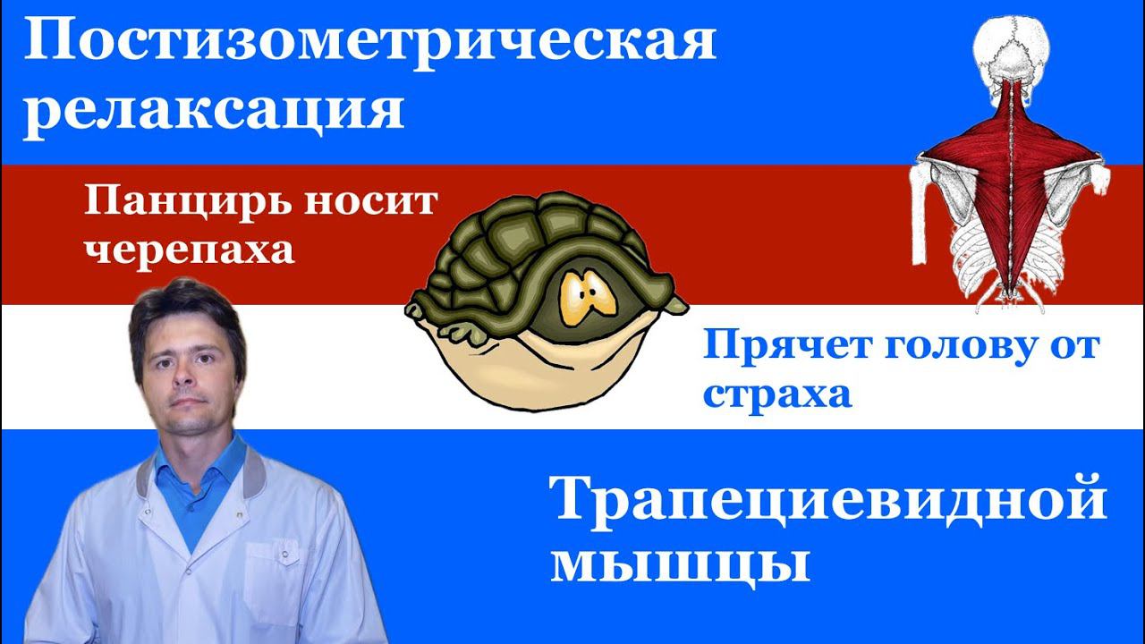Постизометрическая релаксация. Принципы метода. Релаксация трапецивидной мышцы.