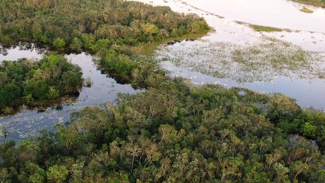 TRADITIONAL MAYAN HOME NEAR TULUM, MEXICO | Documentary Teaser смотреть онлайн