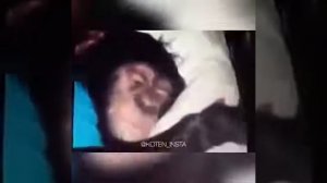 ЕРЖАН,ВСТАВАЯ НА РАБОТУ ПОРА  ОРИГИНАЛ))