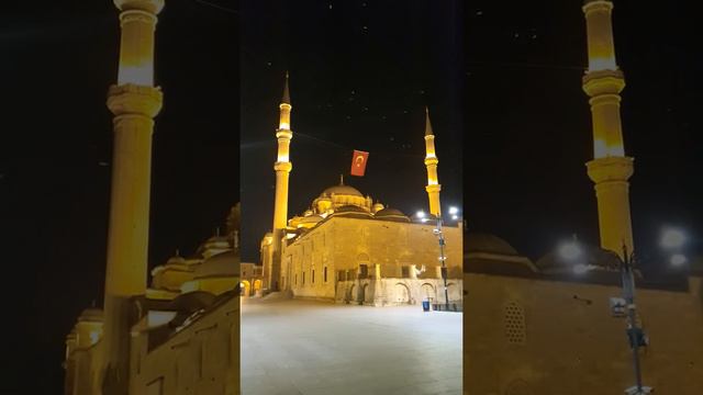 fatih camii kuşlar смотреть онлайн