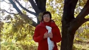 Чему научила меня история с дубом на даче