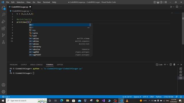 Useful Tuple Methods and Concepts in Python смотреть онлайн