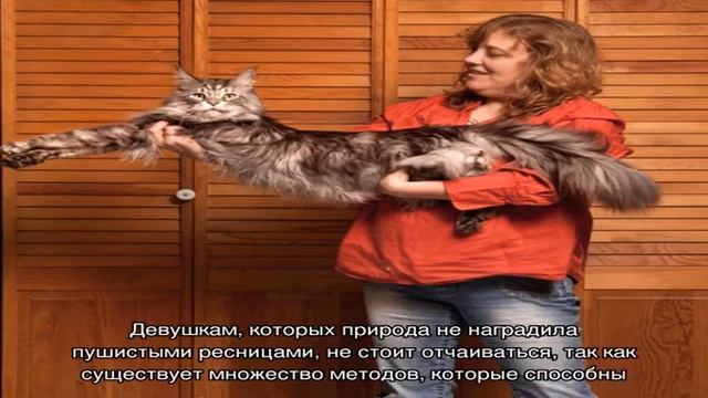 Как сделать ресницы длиннее в домашних условиях смотреть онлайн