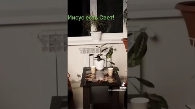 12 декабря 2023 г. смотреть онлайн