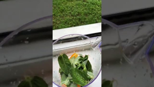 ВЕУСНЕЙШИЙ домашний лимонад. Очень ПРОСТО и пошагово смотреть онлайн