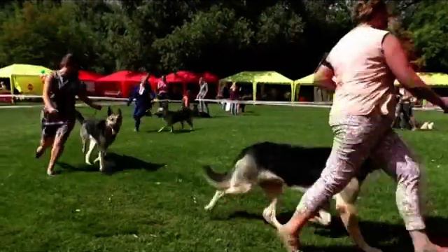 Питомник Лютар