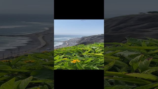 Туристическая компания В поисках приключений в Перу ??