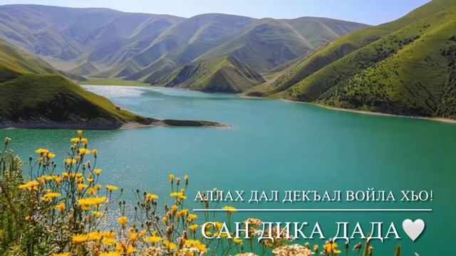 Мар-Да😍🥰(Для свекра) смотреть онлайн