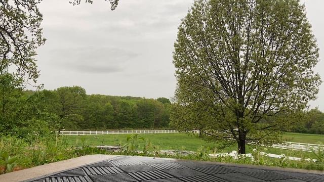 Rises the Moon but it’s raining смотреть онлайн