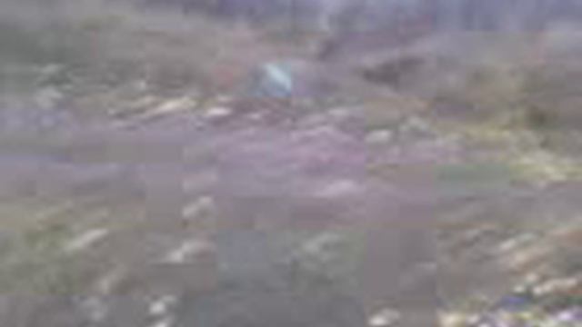 Опыты с селитрой 2