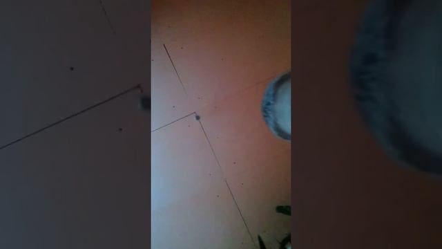 Влог что делать если забыл ластик смотреть онлайн