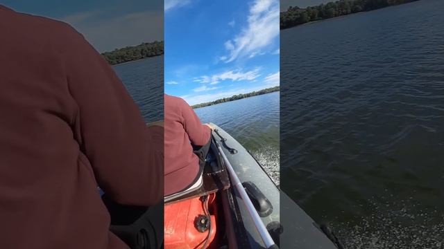 лодка admiral 3,20 с мотором sea pro 9.8 смотреть онлайн