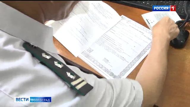 С питомцем - за рубеж смотреть онлайн