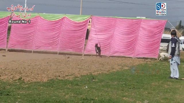 Track Race Round # 1 (26-52 ) Kallar Syedan Rawalpindi @spstudio216 смотреть онлайн