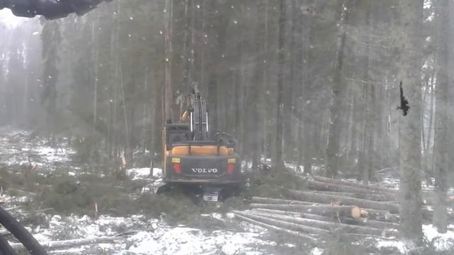 Харвестер Volvo головка Log Max 6000 смотреть онлайн