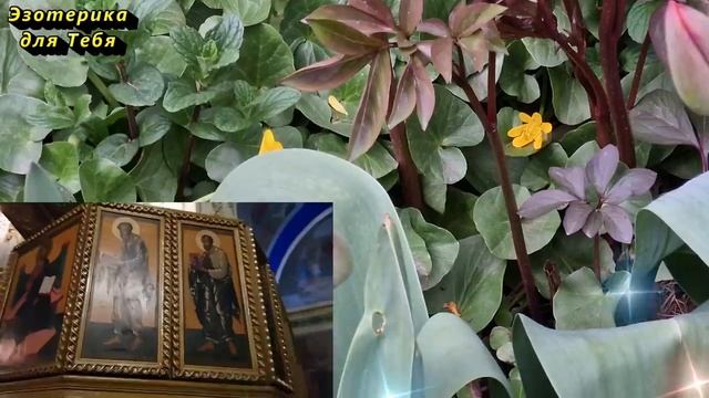 В чистый четверг пересчитайте все свои деньги до последней копейки, год будет прибыльным, ритуалы смотреть онлайн