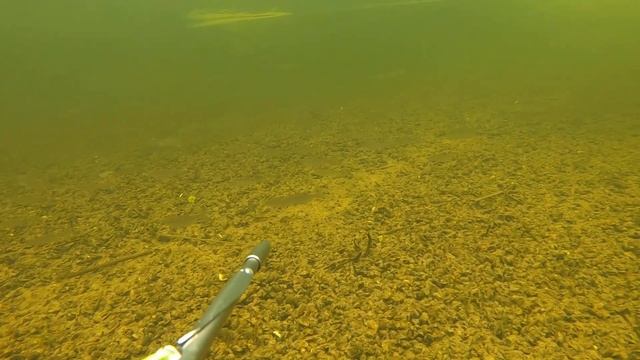 смочили жабры 28.02.2023 смотреть онлайн