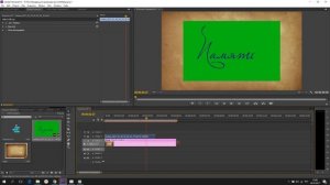 Анимация рукописного текста в Premiere Pro. #1