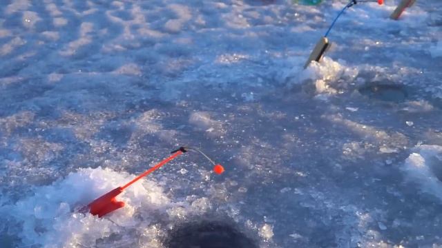 Ловля корюшки 2023 | Подлёдный лов | Финский залив смотреть онлайн